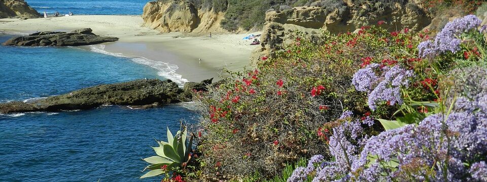 Laguna Beach Security Guards