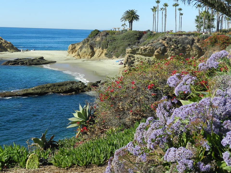 Laguna Beach Security Guards